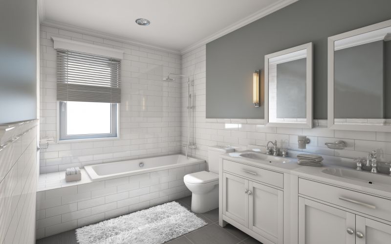 Bathroom Modification